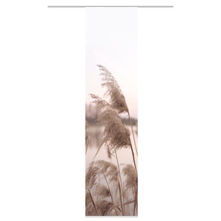 HOME WOHNIDEEN 84125 | Schiebegardine TRAWY, blickdichter Dekostoff, Gras-/Natur-Motiv, 245 x 60 cm (Höhe x Breite), Farbe: Natur