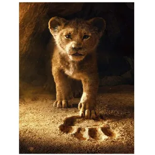 ZHXXFD ZXX5D 5D Diamond Painting Bilder Full Groß 30X40Cm Volle Runde Drill Lion King Diamant Stickerei Kreuzstich Strass Mosaik Tier Geschenk