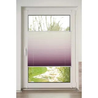 K-Home® Klemmfix-Plissee Farbverlauf Bordeaux B120 x H130 cm
