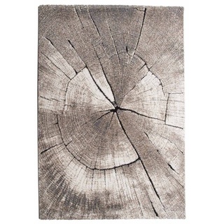 Teppich Kurzflorteppich CARRARA, B 200 x H 290 cm, merinos, rechteckig, Höhe: 13 mm, Braun, in Holzoptik braun