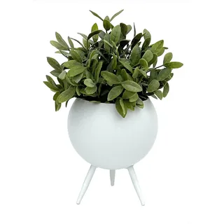 DanDiBo Ambiente Blumenhocker 19 x 19 cm Weiß