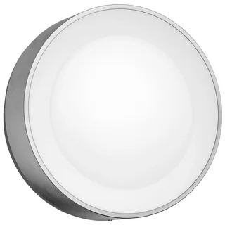 Philips Außenwandleuchte Edelstahl 28,4 cm 1050 lm silber