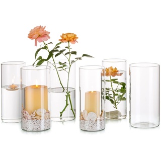 Glasseam Blumenvase Modern Glasvase, Deko Vase Glas Zylinder Vasen Set 6, 20cm Flower Vase Durchsichtig für Hochzeit Tischdeko, Kerzenhalter Tischvase Glass Vase für Tulpen Tischdeko Esstisch