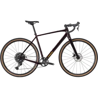 Trek Checkpoint ALR 3 2026 28 Zoll RH 54 cm Unisex braun