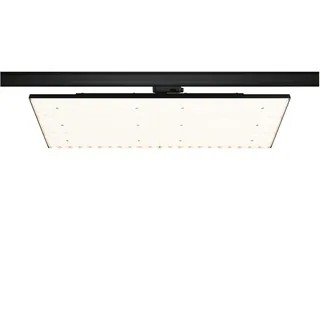 Paulmann ProRail3 LED Panel Deck 6600lm 75W 3000K 230V Schwarz