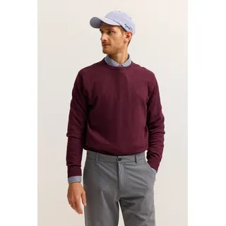 Rundhalspullover BUGATTI "Regular Fit", Herren, Gr. XXL, 790, brombeere, Strick, 100% Baumwolle, unifarben, regular fit, Rundhals, Rippbündchen, Pullover Rundhalspullover, Basic Essential aus reiner Baumwolle