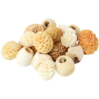 Exoten Sortiment Zapfen - Exoten Afrika - 1 Kg - Naturmaterialien für würdevolle Trauerfloristik & Dekoration (Gebleicht)