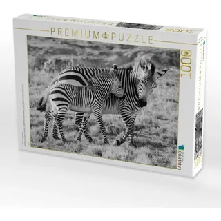 Calvendo Verlag GmbH Hartmanns Bergzebras in Schwarz-Weiss 1000 Teile