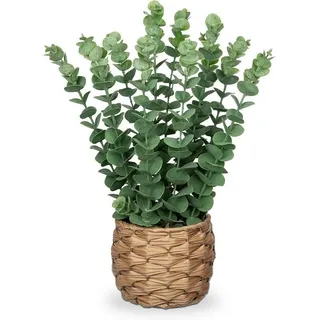 luxuskollektion Kunstpflanze Eukalyptus Seegras Topf 39 cm Grün M Topf