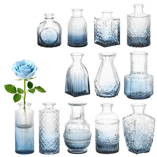 Segus Vasen Set, 12 Stück Kleine Glasvasen für Tischdeko, Mini Vasen Vintage Verschiedene, für Hochzeitsdekoration, Geburtstag, Party (Blauverlauf)