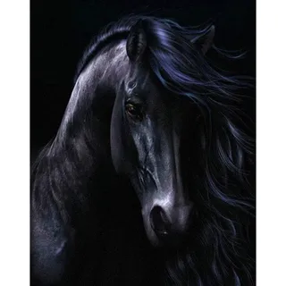 Yingxin34 Puzzle 5000 Teile Schwarzes Pferd Jigsaw Spiel Erwachsene Kinder Familie Dekompression Spielzeug-61.61x41.53 Zoll (156.5 x 105.5cm)