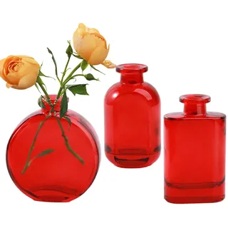 Jumuao Glasvase Vase für Blumen 3er-Set Kleine Blumenvasen aus Glas,Mini-Vasen Glasfläschchen,kleine Vase für Tischdeko,Tischvase Glasvase für Blumen und Trockenblumen (Rot)