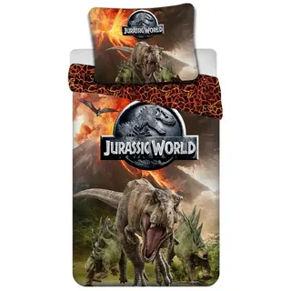 Jurassic World Bettwäsche 140 x 200 cm 70 x 90 cm Baumwolle Jugendzimmer, Baumwolle