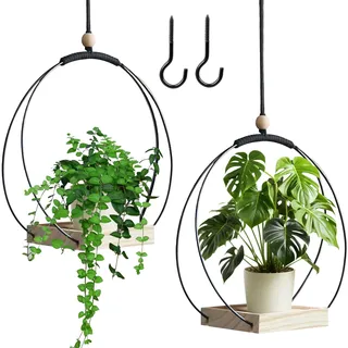 BDHYYM 2 Stück Blumenampel Hängend Innen,Hängender Blumentopf Hängend | Metallring mit Holzsockel,Hängetopf für Pflanzen,Hängeampel Blumen,Blumenampel Innen,Hängepflanzen Topf,Aufhängehaken Enthält