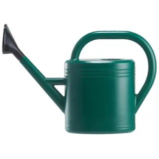 Hier Ist Ein Vorschlag Für Einen Optimierten Titel Auf Franz√∂sisch (maximal 190 Zeichen): 3-liter-gießkanne Aus Kunststoff Mit Griff, Abnehmbarer Brause, Langem Ausguss ‚Äì Integrierter Sprüher Für Gart