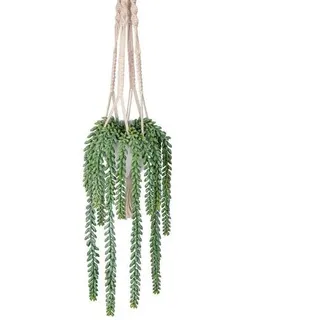 Künstliche Hängepflanze Dekopflanze für Zimmer und Wand 14cm