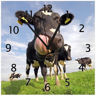 Wallario Wanduhr Lustige Kuh auf der Weide mit herausgestreckter Zunge (Glasuhr) grün 30 cm x 30 cm
