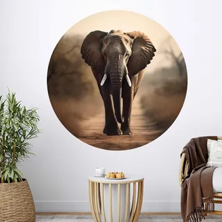 GRAZDesign Wandtattoo Elefant Afrika rund - Tapete selbstklebend - Wandaufkleber Wohnzimmer, Schlafzimmer, Flur - 57x57cm