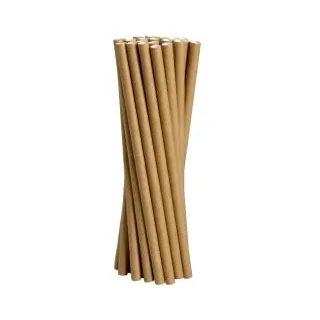 ABENA® Strohhalme Papier Jumbo, Braun, 25 cm, Ø 0,8 cm 1000011030 , 1 Karton = 20 Packungen à 100 Stück
