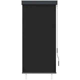 vidaXL Außenrollo 80 x 250 cm Anthrazit