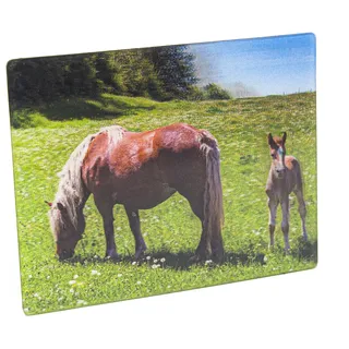 3D Magnet Pferde Haflinger