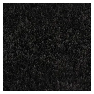 vidaXL Fußmatte 40 x 60 cm Schwarz