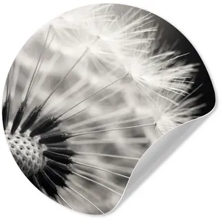 MuchoWow Wandsticker Pusteblume - Schwarz - Weiß (1 St), Selbstklebende Runde Vliestapete, Wohnzimmer, 140x140 cm schwarz 140 cm x 140 cm x 0.1 cm