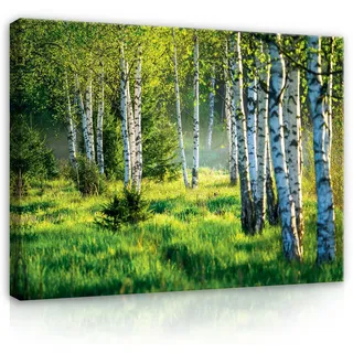 WallArena Leinwand Bilder Wald Grün Natur Landschaft Birken Birkenwald - 120x80 cm Leinwandbilder Bild auf leinwand Wandbild XXL groß Wandbilder für Wohnzimmer Schlafzimmer Wohnzimmerbilder Modern