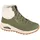 olive 36