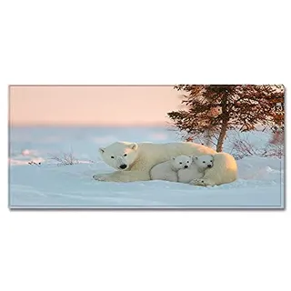 Morbuy Personalisierte Fußmatte Rutschfester Türvorleger mit 3D Tierdruck, Schmutzfangmatte Waschbar Fussmatte Innen Badteppiche (40x120cm,Polarbär)