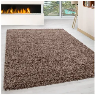 KADIMA DESIGN Hochflor Teppich 300 x 400 cm Braun