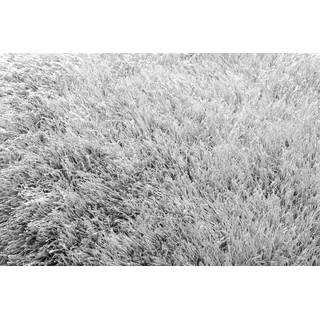 Peyer Syntex Teppich Teppich Polyshaggy Sense 180 cm rund, rund grau|silberfarben