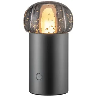 blomus LED Tischleuchte -IRIS- Mobile Akku LED-Leuchte: Dimmbar & Wetterfest für Innen & Außen, LED fest integriert, Warmweiß, Tageslichtweiß, Kaltweiß, Designerleuchte, Mobil, Akku, Dimmbar, 47 Std., 2700K bis 4000K, IP54 grau