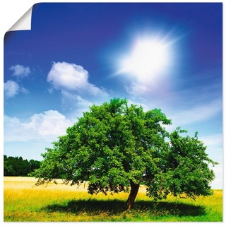 Artland Wandbild Baum des Lebens, Bäume (1 St), als Leinwandbild, Poster in verschied. Größen grün 30 cm x 30 cm