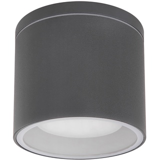 Außenleuchte Deckenleuchte Deckenspot Glas Gartenlampe rund Deckenlampe Außen IP44, Aluminium anthrazit, 1x GX53 LED, DxH 10,8x9,6 cm