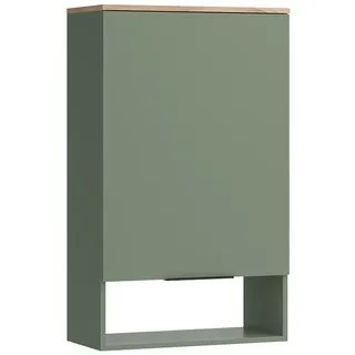 Vicco Wido Regal mit Tür 60 x 100 x 30 cm Grün