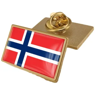 DELIGUO Anstecknadel Mit Norwegen-Flagge – Anstecknadel Mit Norwegen-Flagge, Souvenir, Nationale Neuheit, Geschenk, Anstecknadel, Krawattennadel, Accessoire, Party-Geschenke Für Hemd, Anzug, Pullover