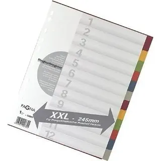 Pagna Kartonregister 225 g/m2 DIN A4 12 St.