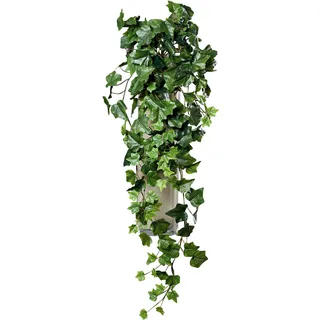 Efeu Hänger 80cm grün