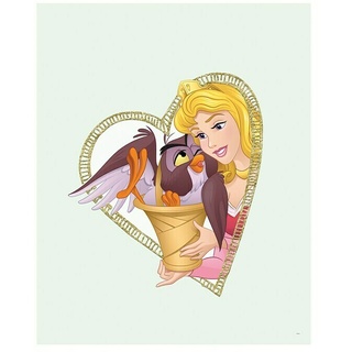 Komar Disney Edition 4 Poster Aurora & Owl  (Disney, B x H: 50 x 70 cm)