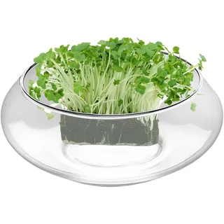 Vasenschale aus – großer runder Blumentopf, transparenter Hydrokultur-Blumenkasten, Flacher Innenbehälter, Blumenständer BO-Sai | Elegante dekorative Option für die Festliche Arrangements als