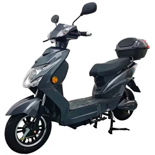 urban hopper Enjoy 1000 Watt 25 km/h grau