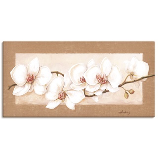 ARTland Leinwandbilder Wandbild Keilrahmenbild 40x20 cm + weitere Größen Gemälde Blumenbilder Orchidee Beige T3MQ
