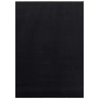 CarpetSale24 Teppich Wohnzimmer Einfarbig Schwarz 200x290 cm - Waschbar Rutschfest Kurzflor Extra Weich für Wohnzimmer Schlafzimmer Jugendzimmer