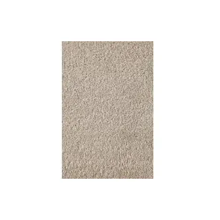 Teppichboden Sara beige B/L: ca. 200x400 cm pro Stück - beige