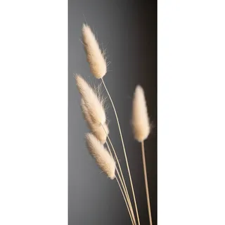 Euroart Glasbild, Anthrazit, Natur, Glas, rechteckig, 30x80x1.40 cm, Fotografie, einfache und schnelle Anbringung, glänzend, Bilder und Zubehör, Wandbilder, Glasbilder