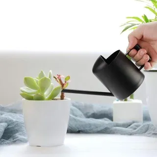 Famanu Mini-Gießkanne 300ml - Langer Auslauf - Metall - Indoor Outdoor - Schwarz