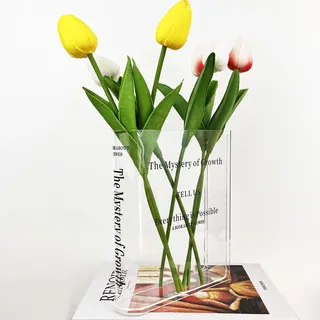 Buchvase für Blumen, einzigartige Blumenvase, niedliche Acrylvase, das Geheimnis des Wachstums, klare Blumenvase, Moderne ästhetische Vase für Bücherregal, Büro, Heimdekoration (transparent)