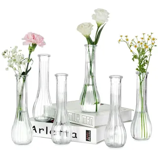 NUPTIO Kleine Glasvasen für Tischdeko Blumenvase: 6 Stück 21,7cm Hoch Schmale Klein Vase für Hochzeitsdeko - Durchsichtig Gerippte Vasen Set für Wohnzimmer Geburtstag Party Deko