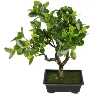 I.GE.A. Kunstbonsai I.GE.A. "Ginseng-Bonsai", grün, B:13cm H:33cm, Obermaterial: 70% Kunststoff, 30% Polyester, Kunstpflanzen, in Bonsaischale aus Kunststoff